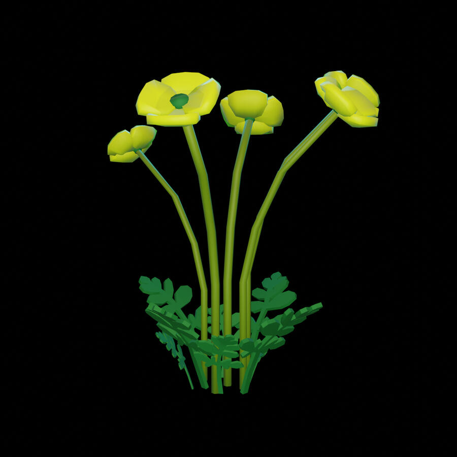 Arctic Poppy - For NFB